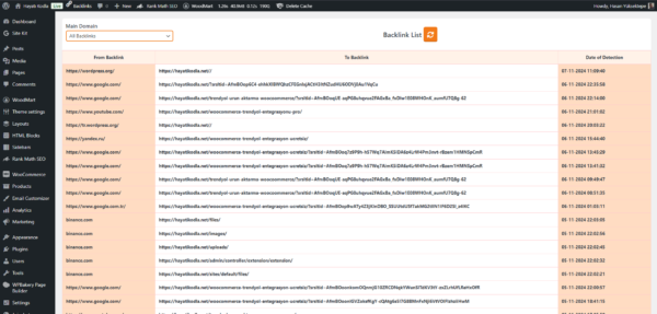 Wordpress Backlink Tespit Eklentisi (Ömür Boyu) - Görsel 3